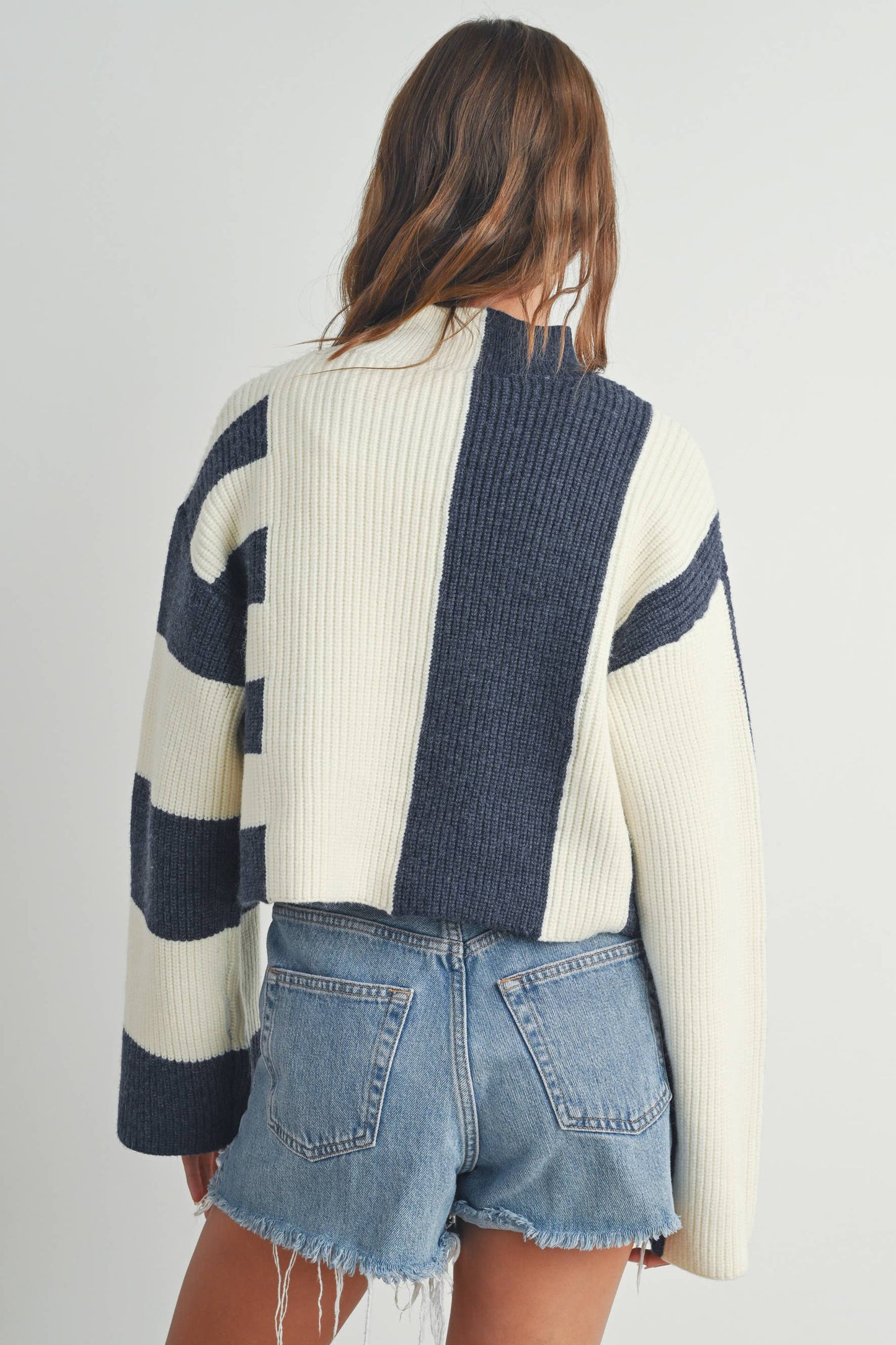 Color Block Mock Turtleneck Sweater / Navy / Ivory
