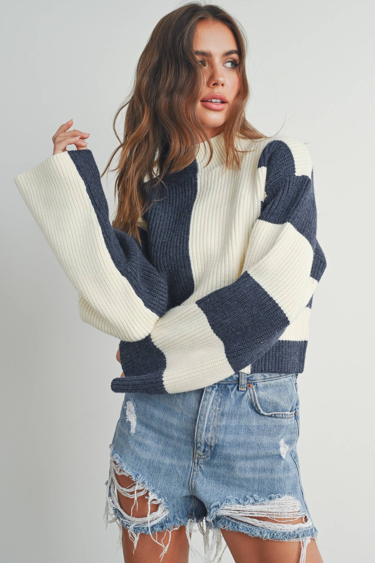 Color Block Mock Turtleneck Sweater / Navy / Ivory
