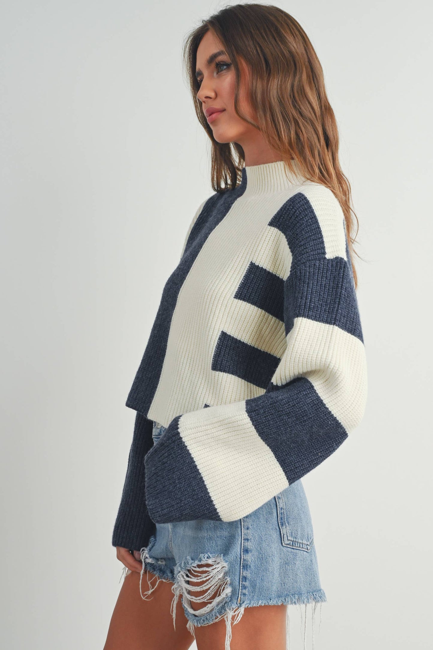 Color Block Mock Turtleneck Sweater / Navy / Ivory