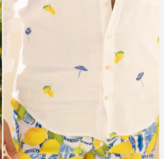 Button Down / The Fontelina Linen Shirt