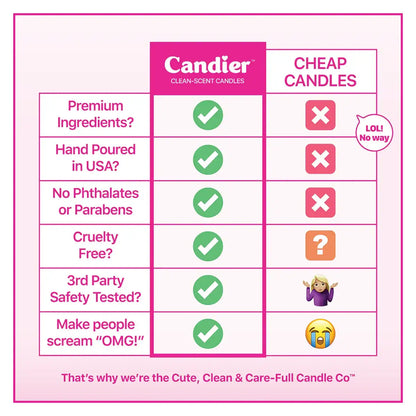 Soy Candle - Endless Snow Day Scent